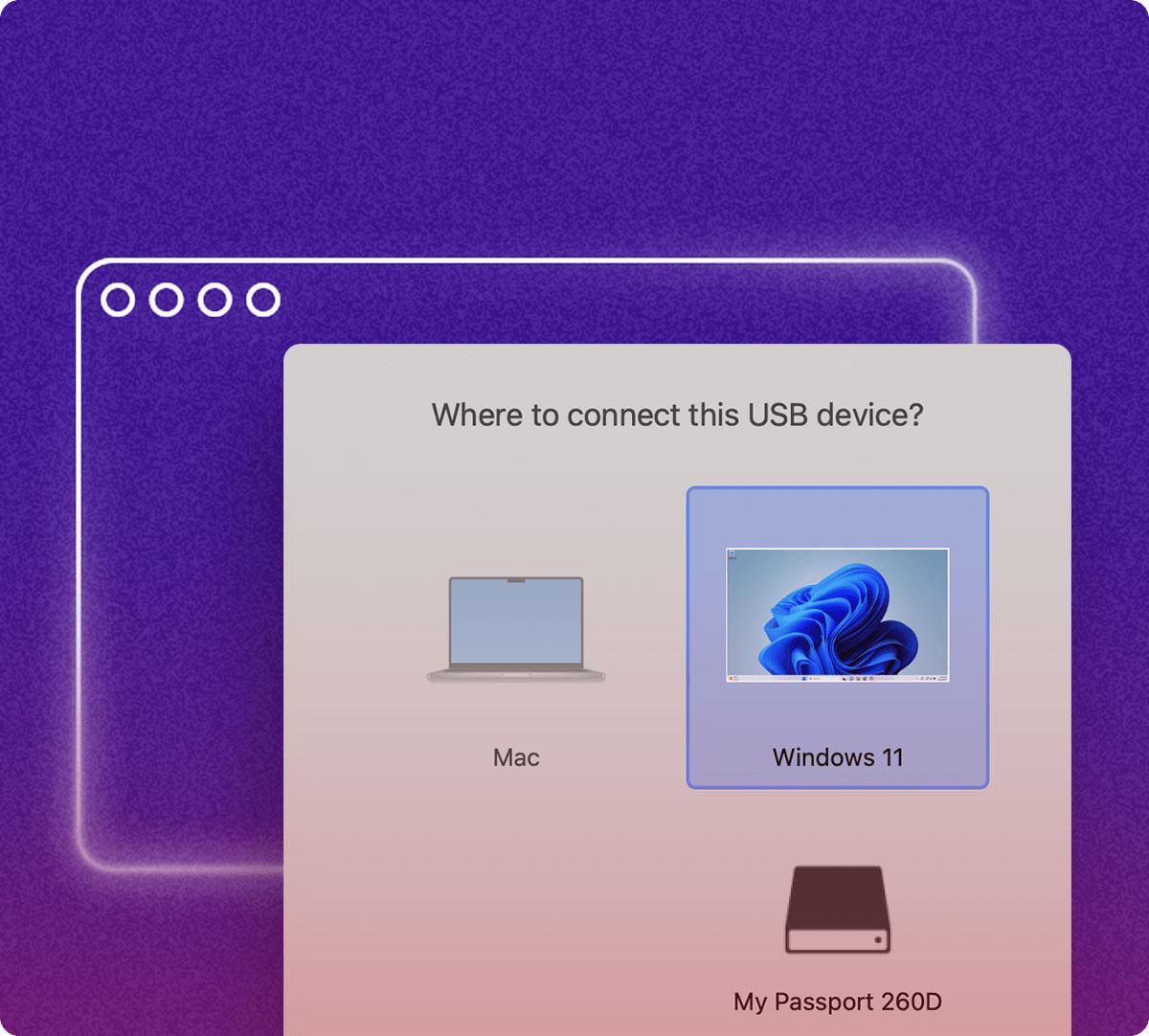 Experience a perfect synergy between macOS and Windows